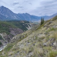 Алтайские просторы :: Галина Козлова Алтайские просторы :: Галина Козлова