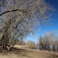 Солнечный апрель :: Олегъ Петрович