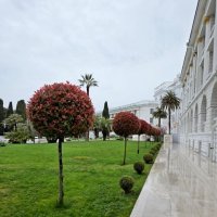 СОЧИ :: Tata Wolf