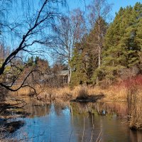 *** :: Геннадий Порохов