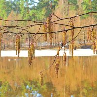 Гирлянда над озером :: Андрей Снегерёв