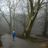В туманном феврале :: Юрий. Шмаков В туманном феврале :: Юрий. Шмаков