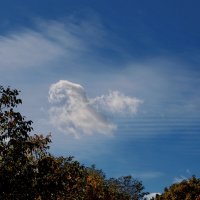 музыка сфер ) :: Всеволод музыка сфер ) :: Всеволод