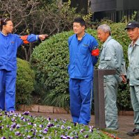 Так и называем - наша Мымра... :: Elias 69