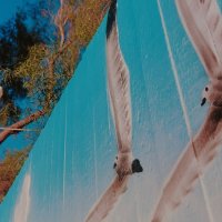 14  КЛОС (86) :: СТРЕН 