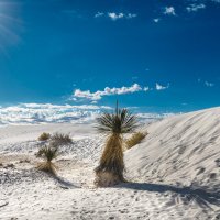 White Sands National Park. New Mexico :: Николай Бабухин