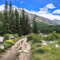 Летом на Алтае :: Галина Козлова Летом на Алтае :: Галина Козлова