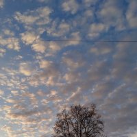 Вечернее небо :: светлана льдокова