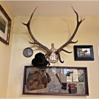 Экспонаты музея. :: Валерия Комова