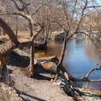 *** :: Геннадий Порохов