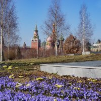 Весна в парке  Зарядье :: Ольга 