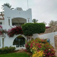 Египет. Шарм-эль-Шейх :: Ирэн 