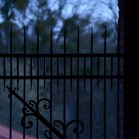 Замое Нойхаузен. Решётка. :: Константин Белоногов