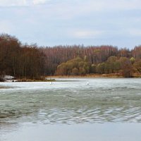 Про озёра Смоленщины (на озёрном льду пара белых лебедей). :: Милешкин Владимир Алексеевич 