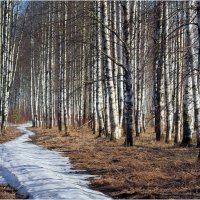 Тропою ушедшего марта :: Валентин Котляров