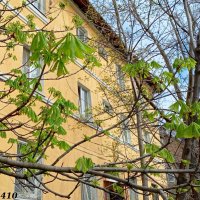 Весна на ростовских улицах :: Нина Бутко Весна на ростовских улицах :: Нина Бутко