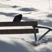 Ожидание :: Сергей Сергеев Ожидание :: Сергей Сергеев