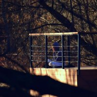 У реки. :: Наталья Вязигина