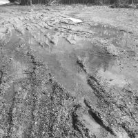 Мечты о ч/б Лейке 87. :: Михаил Елочкин