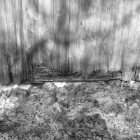 Мечты о ч/б Лейке 89. :: Михаил Елочкин