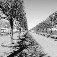 Петергоф. Верхний сад :: Наталья Герасимова