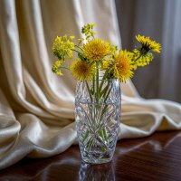 *** :: Aleksey Afonin