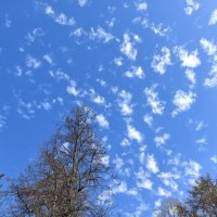 ***облака - пушинки""" :: Olga Oskolkova