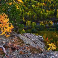 Осень над рекой. :: Юрий кот