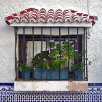 Окошко :: **** vedin