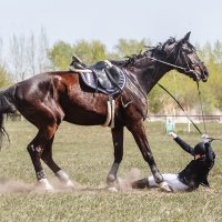 Конкур :: SanSan 