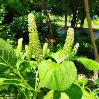 ,,, :: Сергей Тимоновский