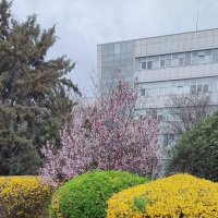 Весна :: Людмила Мила