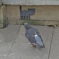 давай знакомиться :: ИРЭН@ . давай знакомиться :: ИРЭН@ .