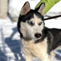 *** :: Андрей Л. В. *** :: Андрей Л. В.