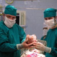 Операция :: Андрей Л. В.