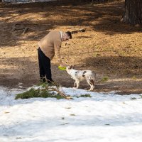 Собака принесла тарелочку хозяину :: Александр Синдерёв