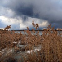 Весенняя непогода :: Crazy Bee