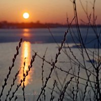 Одно мгновение весеннего заката :: Ирина Баскакова