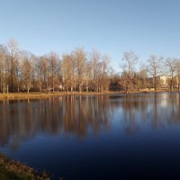 Весенний день на пруду :: Сергей Кочнев