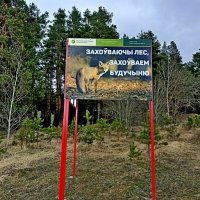 Берегите лес! :: Vladimir Semenchukov Берегите лес! :: Vladimir Semenchukov