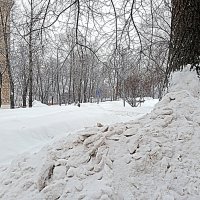 Зима. :: Владимир Драгунский