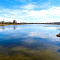 Весна в начале апреля. :: Милешкин Владимир Алексеевич Весна в начале апреля. :: Милешкин Владимир Алексеевич
