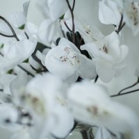 _ :: Тамара Федорова