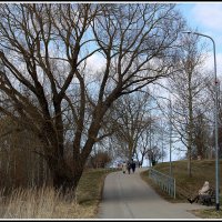 Весенний променад :: Aleksandr Gal