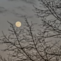 (°-°) :: Jakob Dick