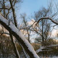 в преддверии весны :: Серый 