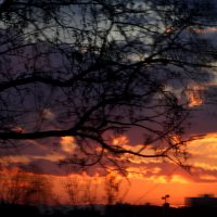 Палитра цвета от заката до рассвета :: олег свирский 