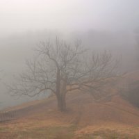 *** :: Сергей Григорьев