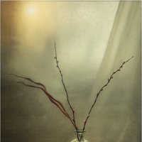 С вербным!... :: Oleg Rastorguev