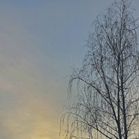 **** :: Анатолий Портнов